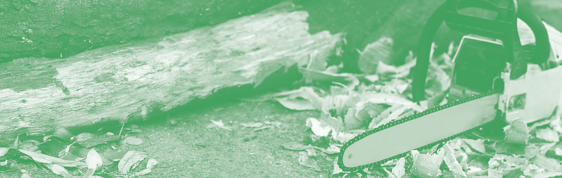 Homepage Banner with Descpritive Box